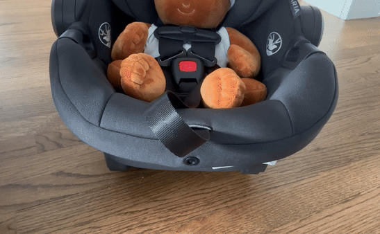 UPPAbaby Aria Carry Harness.