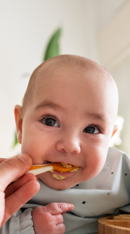 The Best Baby Food Options for Every Stage: Purées, Pouches & More.