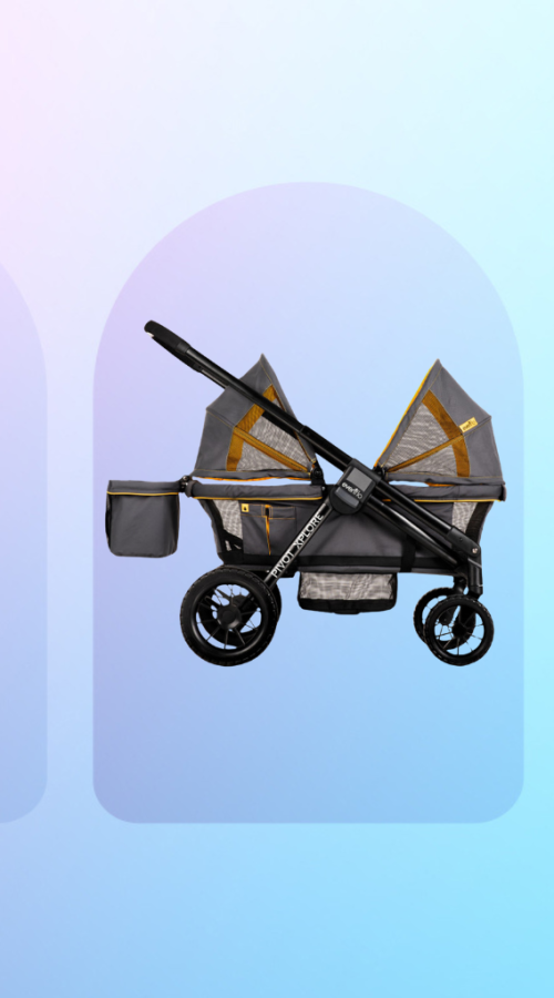 The Best Double Strollers of 2026.