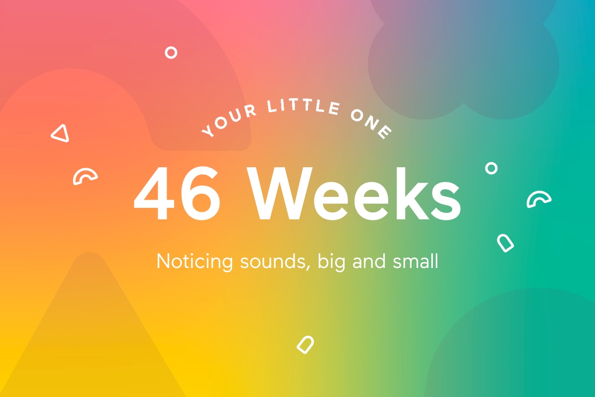 Your 46-Week-Old Baby - Parenting Week by Week