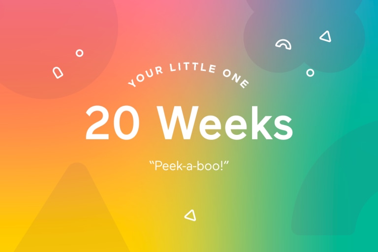 Your 20-Week-Old Baby.