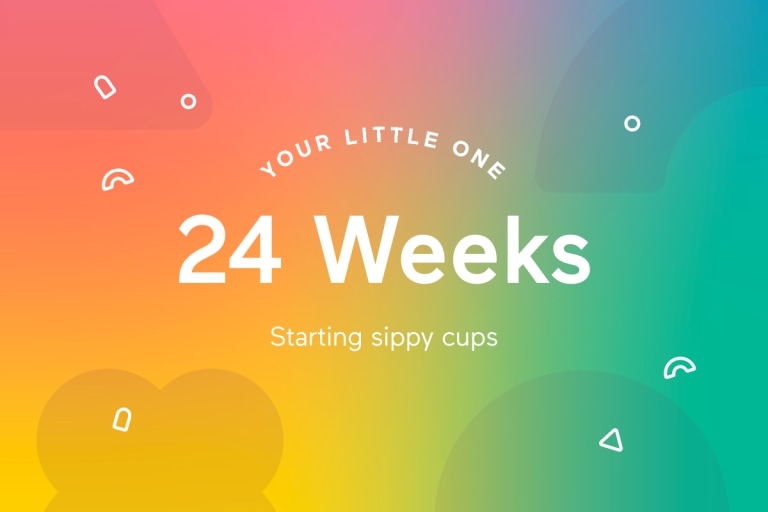 Your 24-Week-Old Baby.