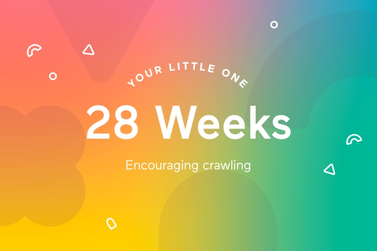 Your 28-Week-Old Baby