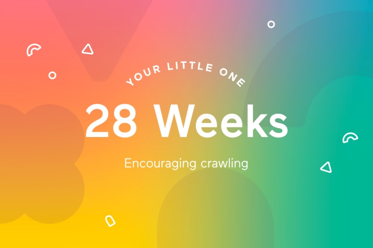 Your 28-Week-Old Baby.