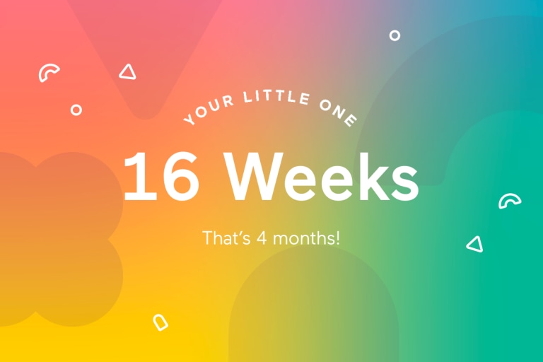 Your 16-Week-Old Baby.