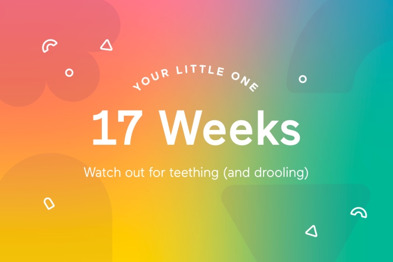 Your 17-Week-Old Baby.