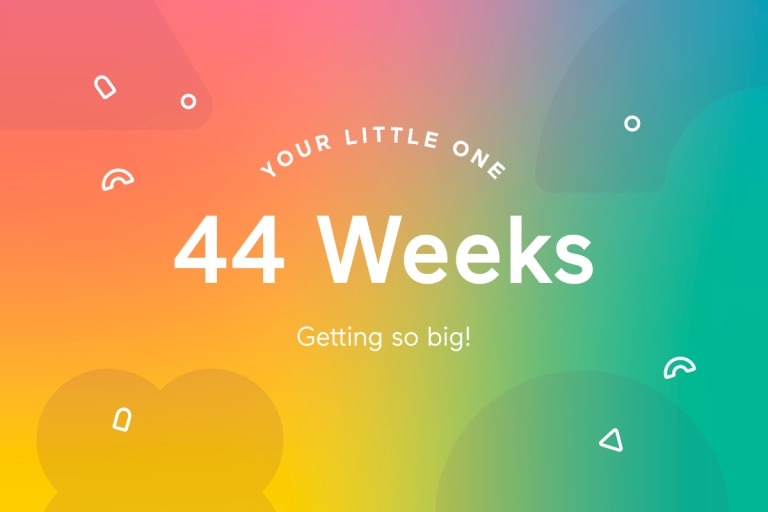 Your 44-Week-Old Baby