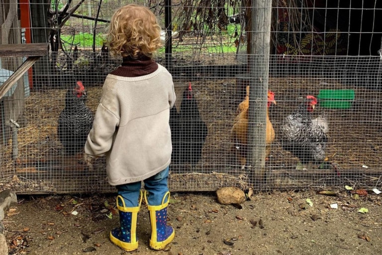 Best Toddler Rain Boots.