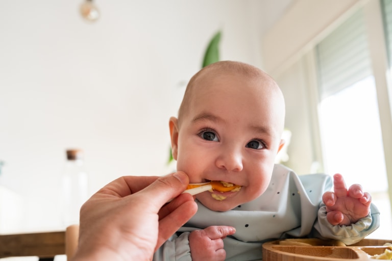 The Best Baby Food Options for Every Stage: Purées, Pouches & More.