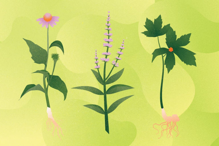 Avoid These Herbs If You’re Trying to Get Pregnant