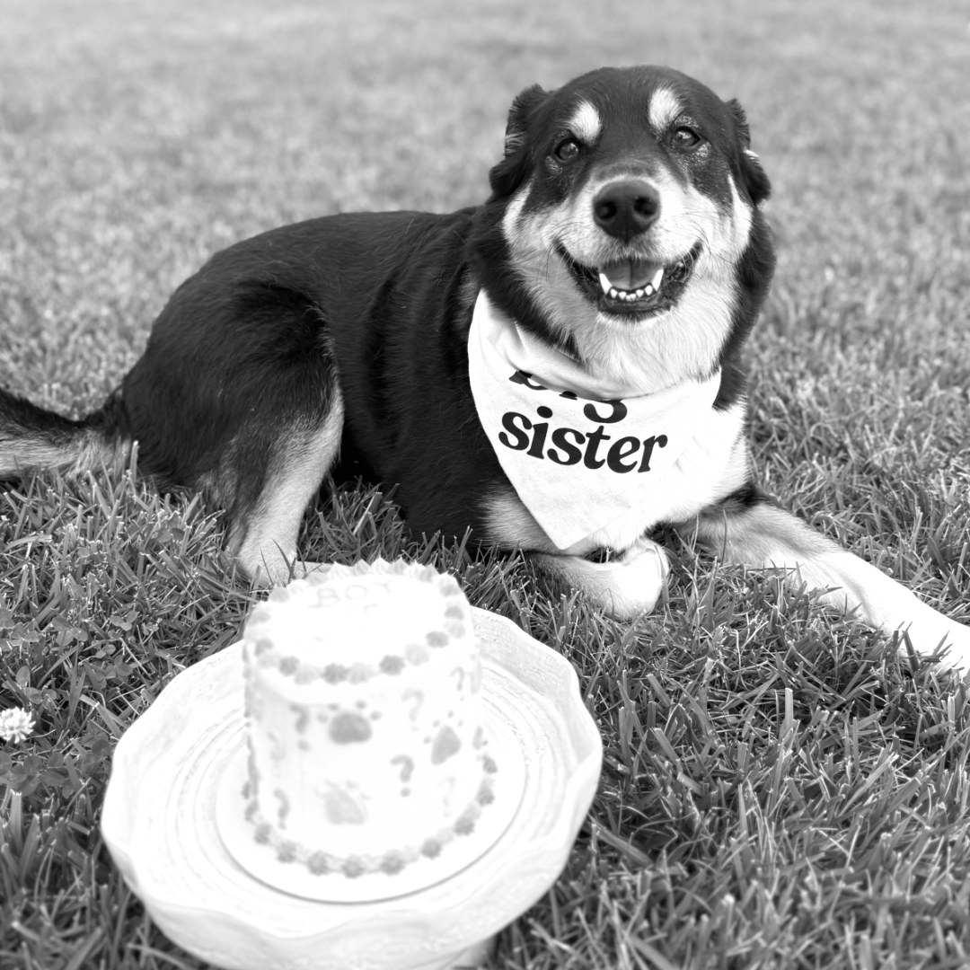 Photo shared by Christibeth for their Babylist baby registry.