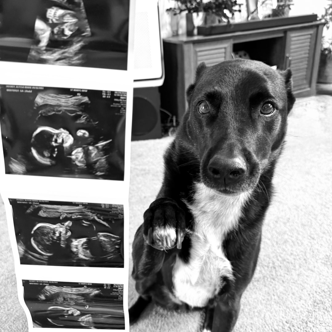 Photo shared by Alyssa for their Babylist baby registry.