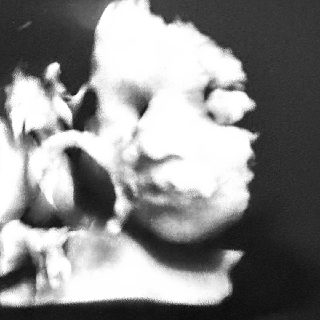 Photo shared by Kamaria for their Babylist baby registry.