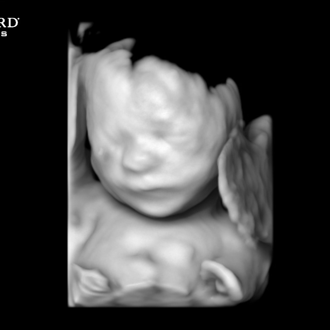 Photo shared by Ariana for their Babylist baby registry.