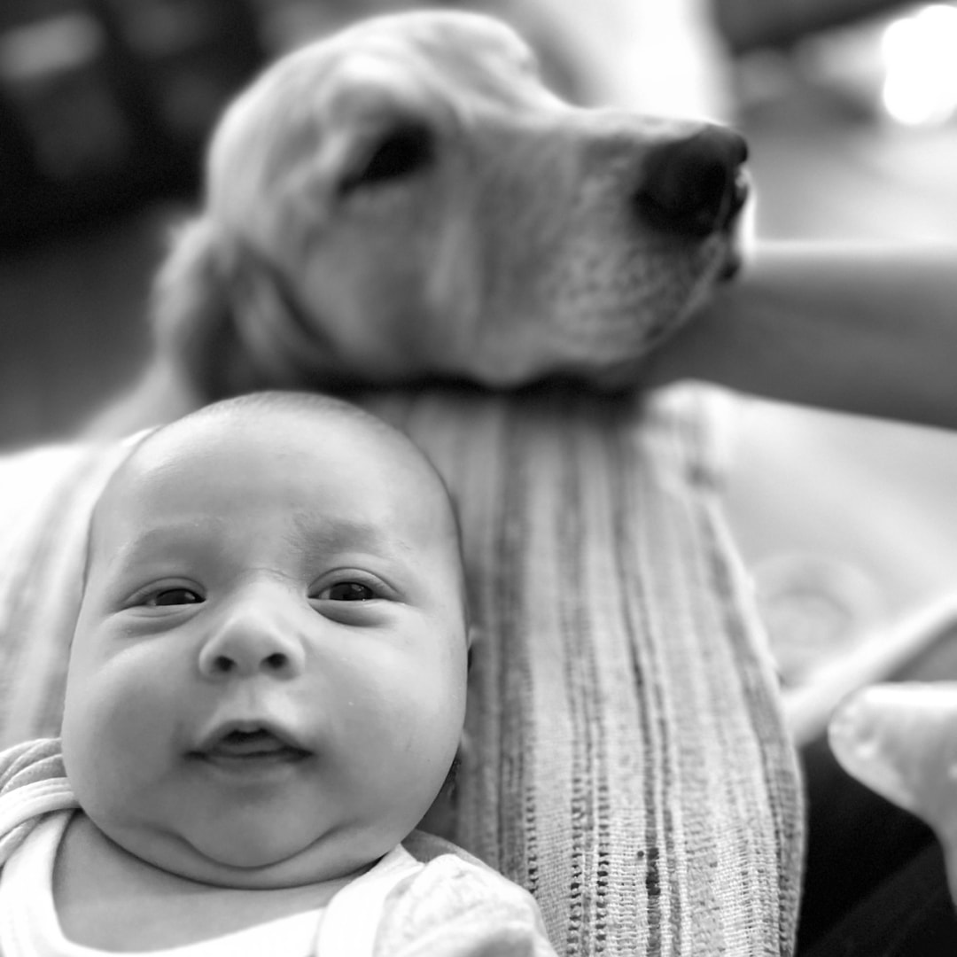 Photo shared by Veronica for their Babylist baby registry.