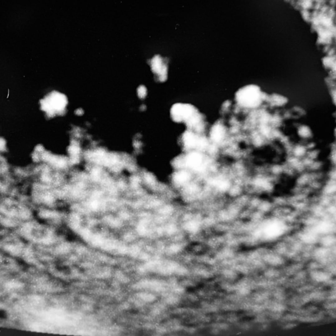 Photo shared by Darrien for their Babylist baby registry.