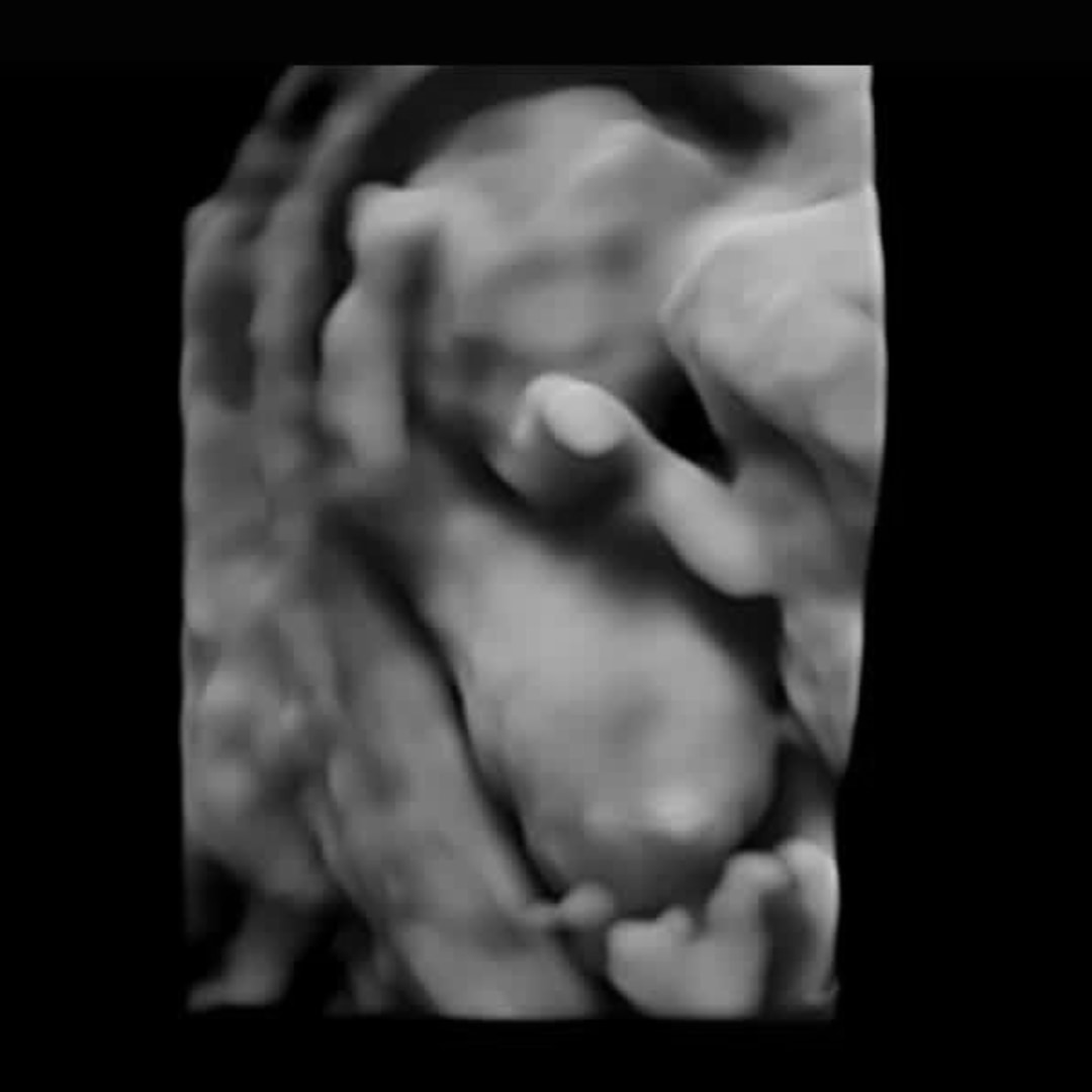 Photo shared by Tori for their Babylist baby registry.