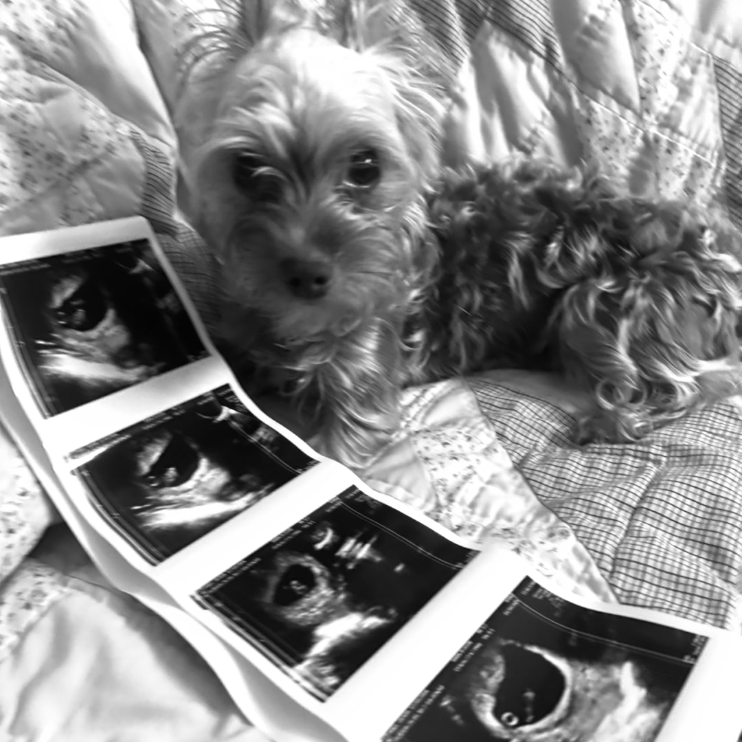 Photo shared by Olivia & Tristen for their Babylist baby registry.