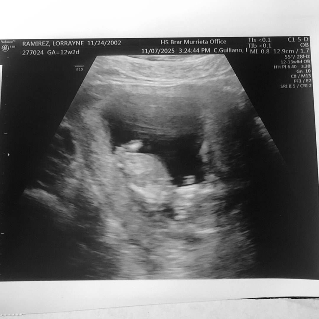 Photo shared by Lorrayne for their Babylist baby registry.