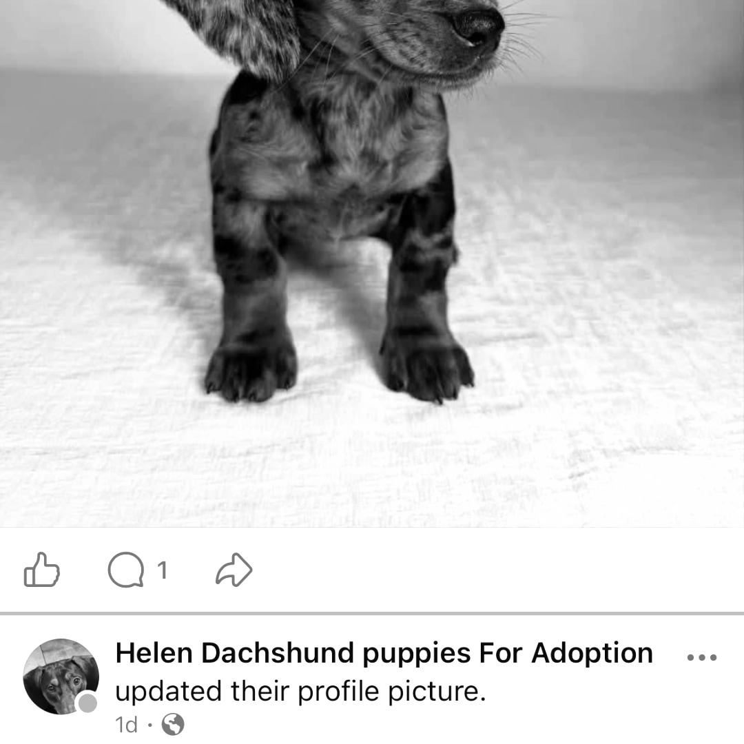 Photo shared by Cristina for their Babylist baby registry.