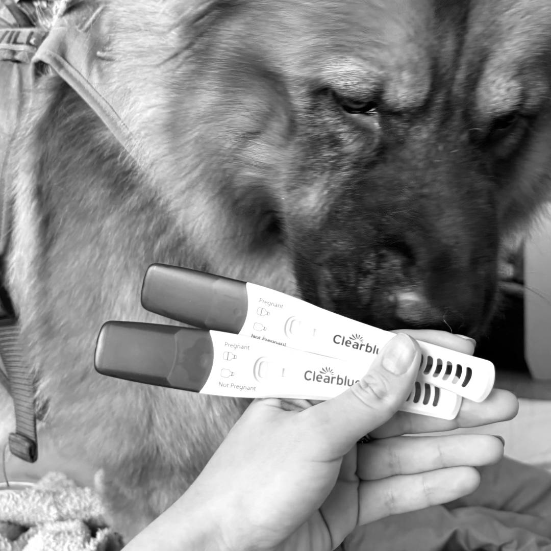 Photo shared by Emma for their Babylist baby registry.