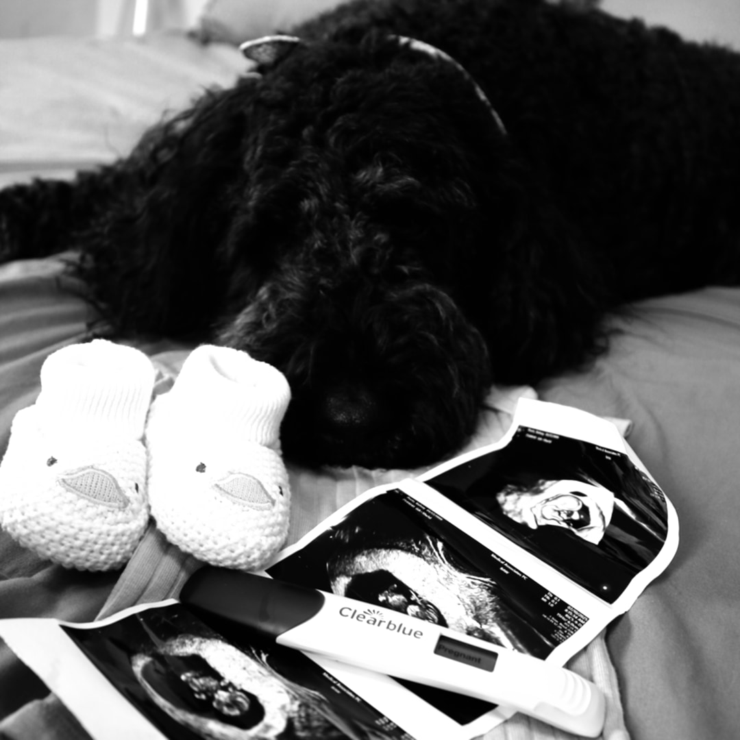 Photo shared by Kelsey for their Babylist baby registry.