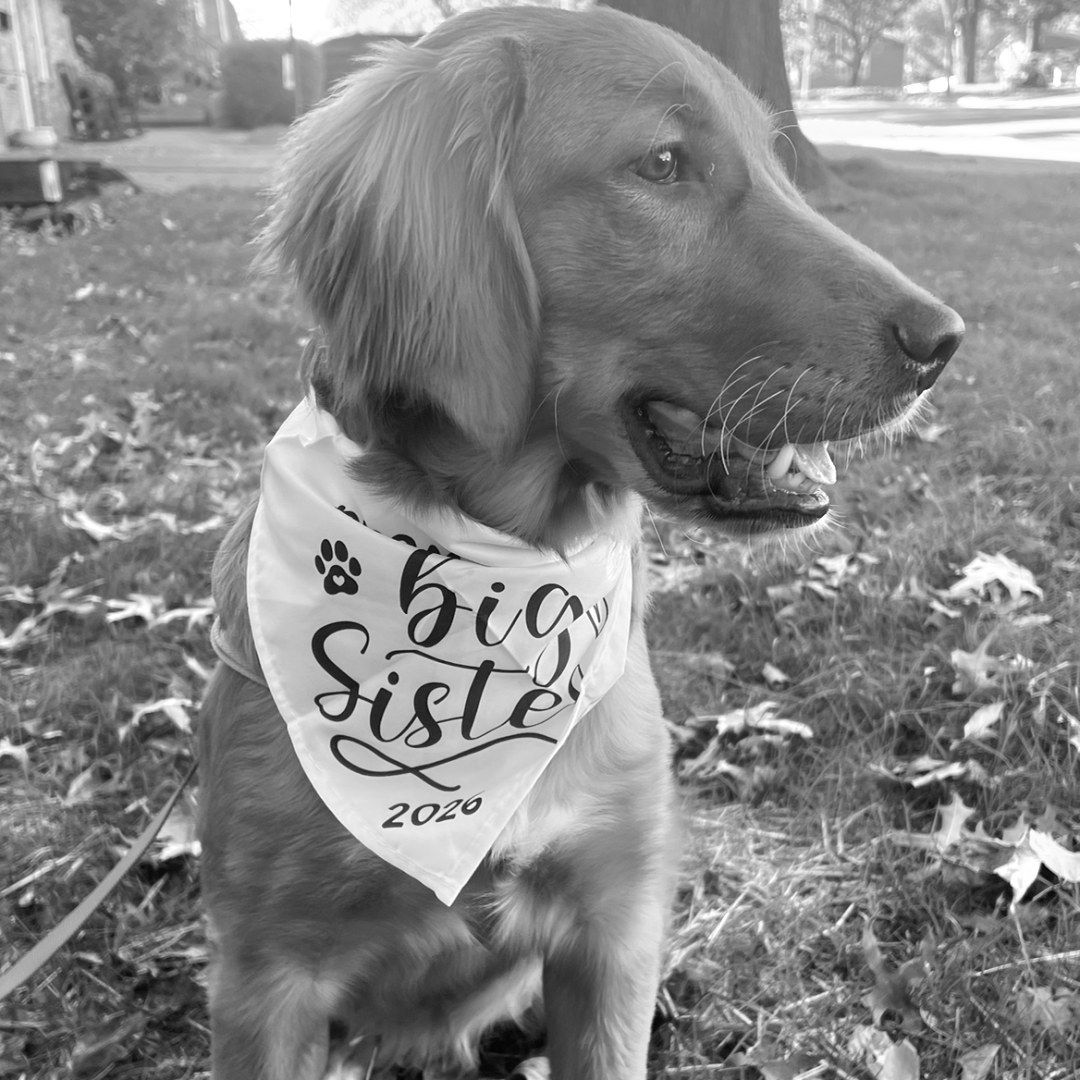 Photo shared by Katia for their Babylist baby registry.