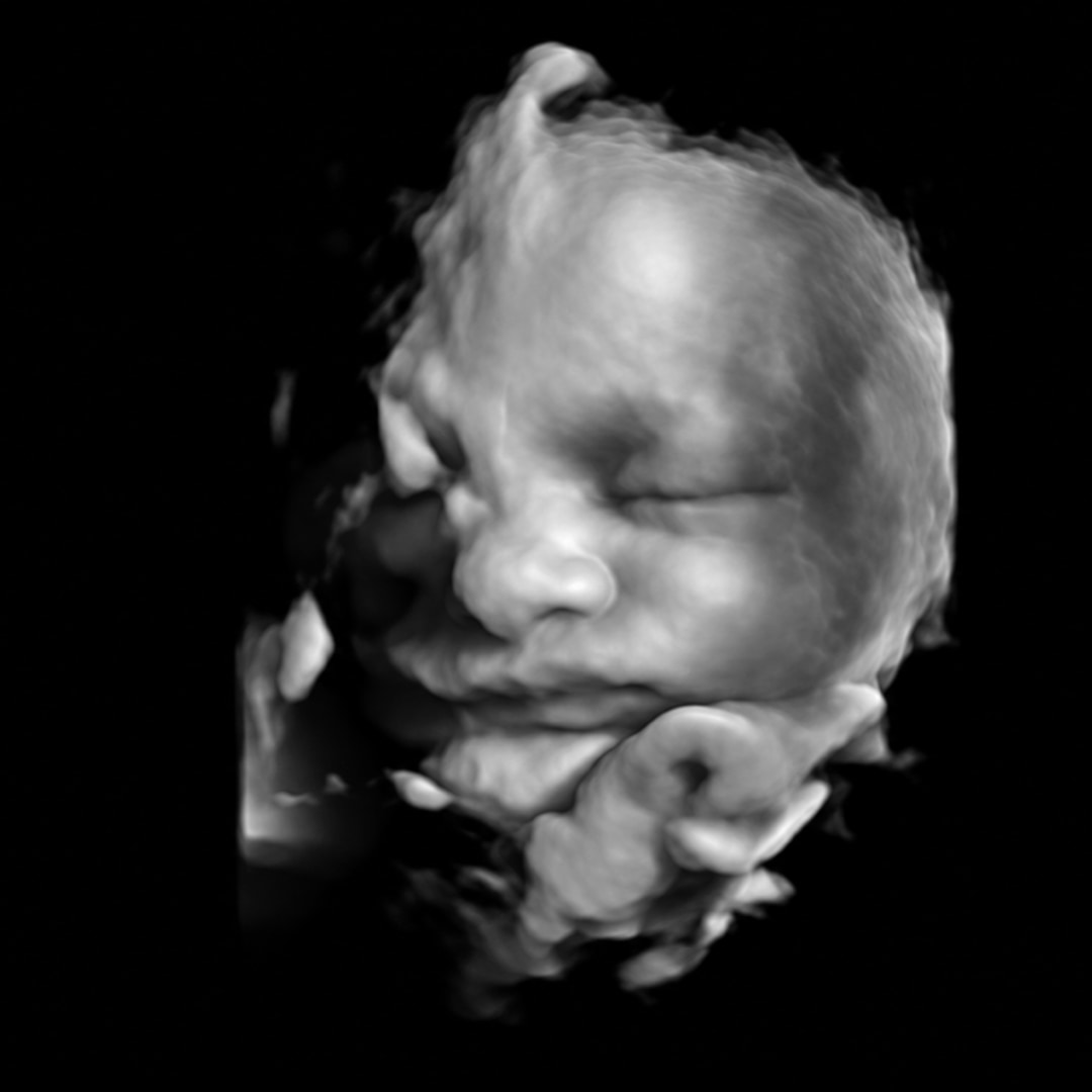 Photo shared by Ali for their Babylist baby registry.
