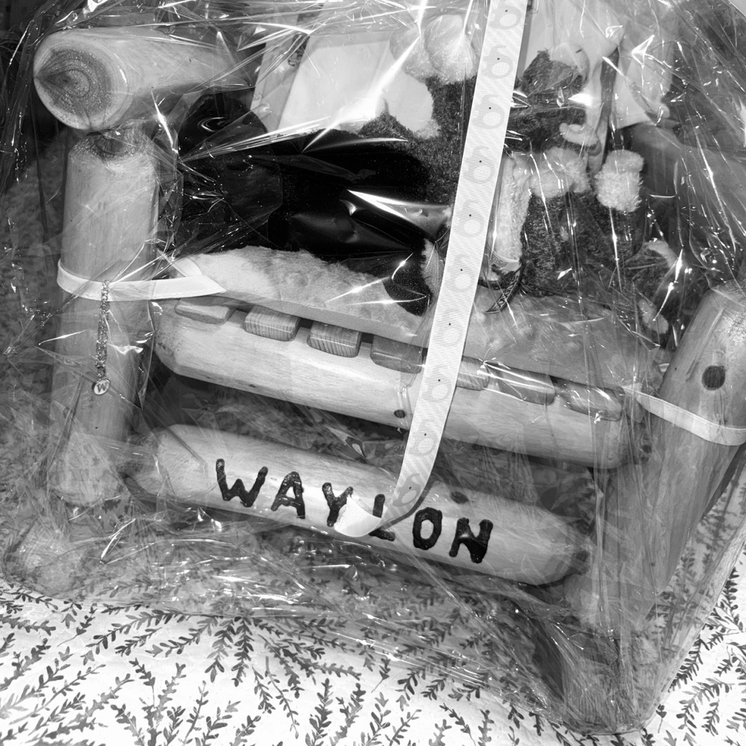 Photo shared by Alexis for their Babylist baby registry.