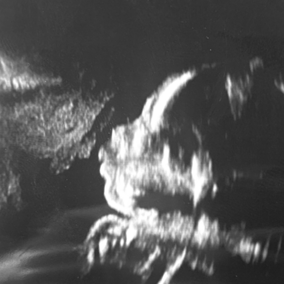 Photo shared by Wael for their Babylist baby registry.