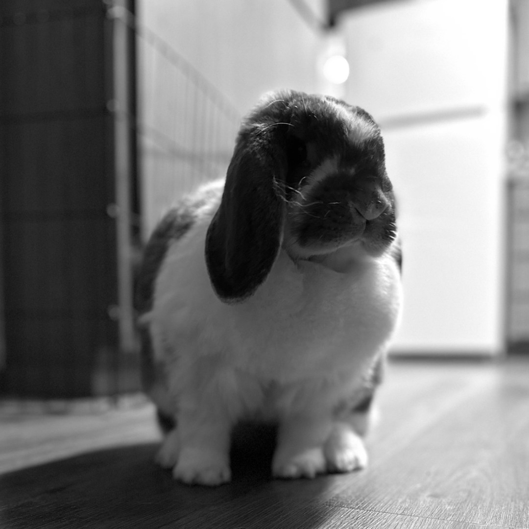 Photo shared by Mattison for their Babylist baby registry.