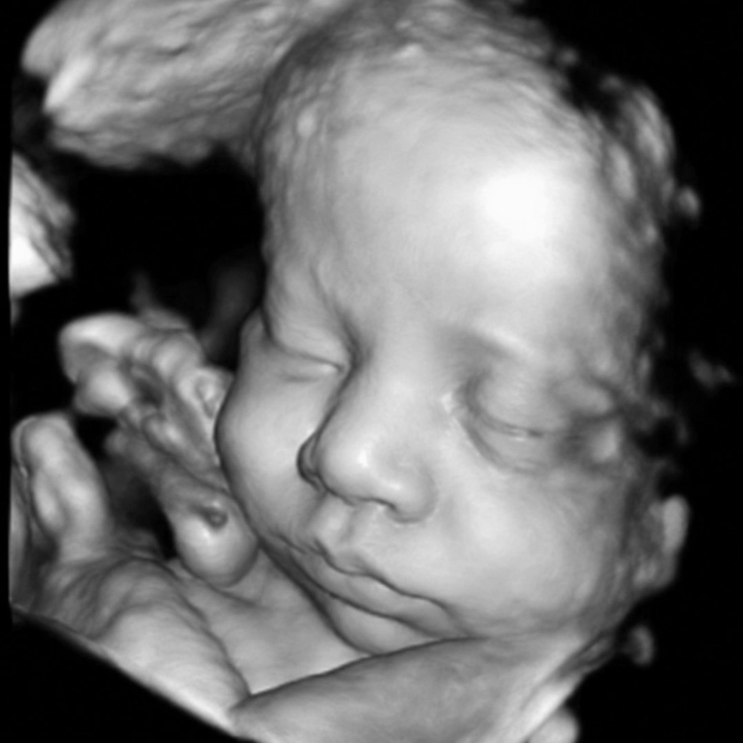 Photo shared by Anastasia for their Babylist baby registry.
