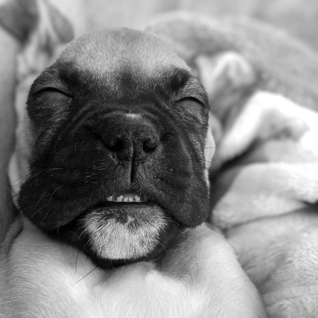 Photo shared by Sarah for their Babylist baby registry.