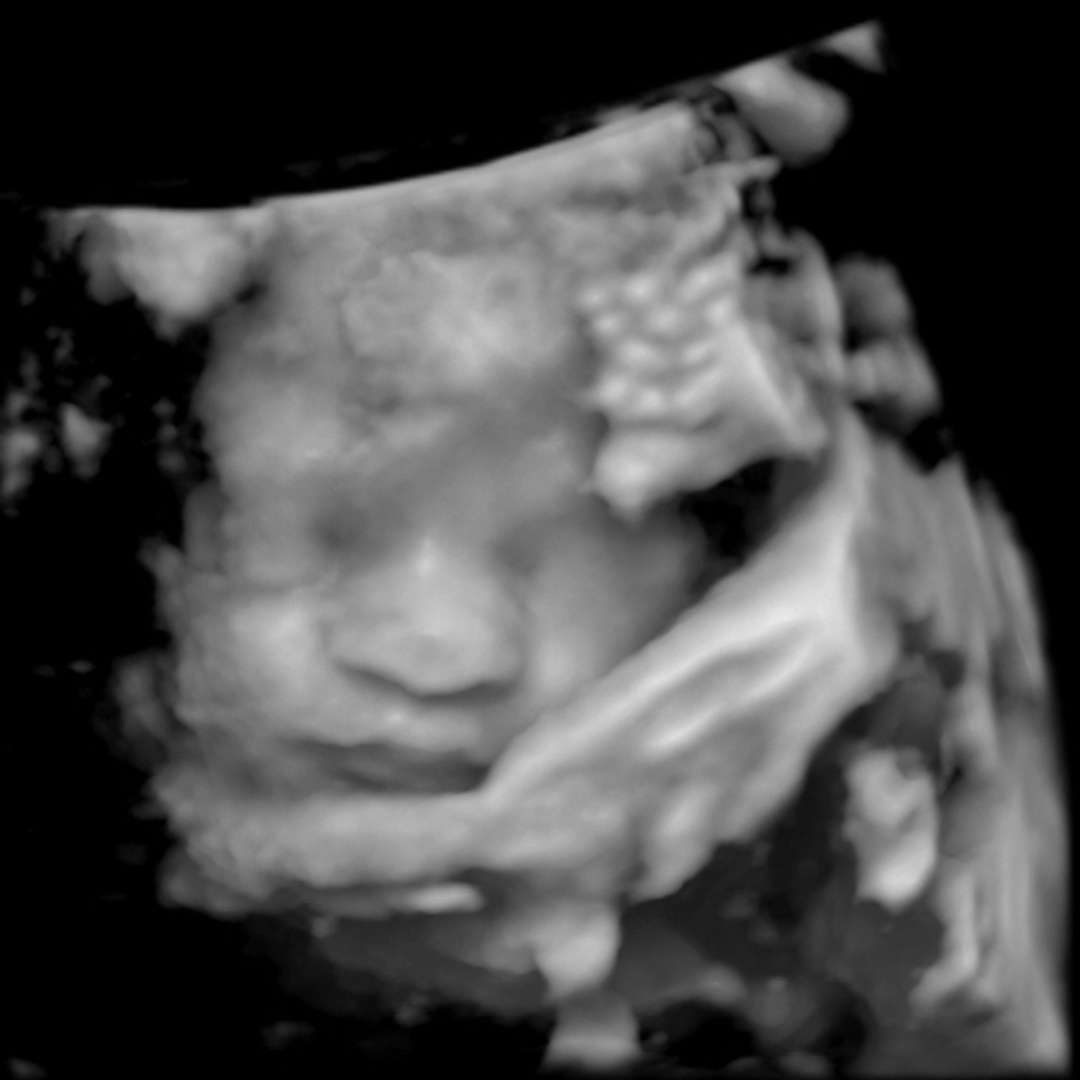 Photo shared by Samantha for their Babylist baby registry.