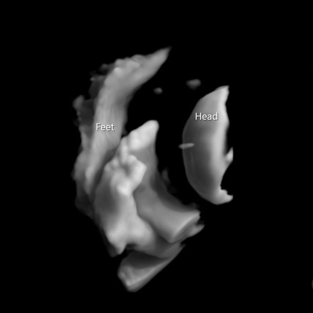 Photo shared by Jasmin for their Babylist baby registry.