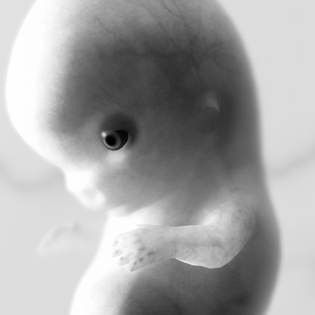 Photo shared by Teresa for their Babylist baby registry.