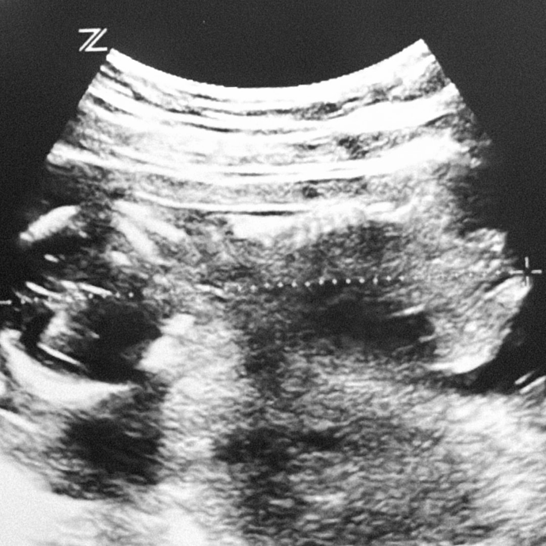 Photo shared by Shirley Ann for their Babylist baby registry.