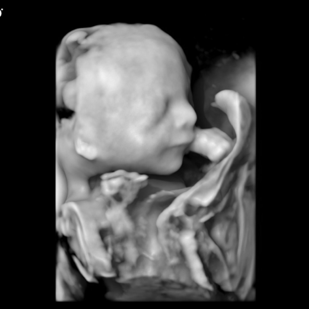 Photo shared by Ariana for their Babylist baby registry.