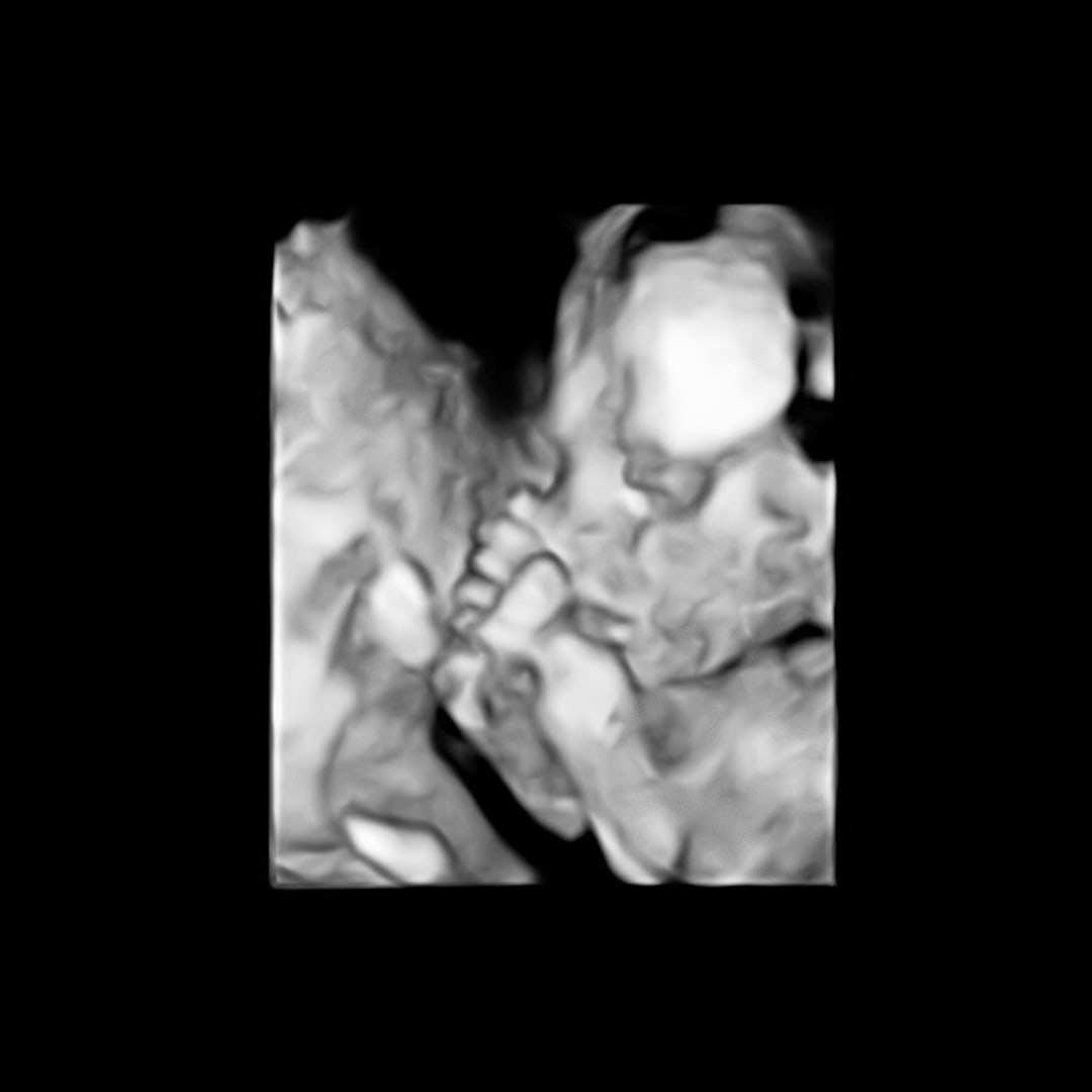 Photo shared by Abbi for their Babylist baby registry.