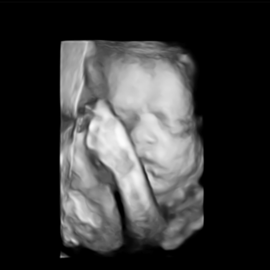 Photo shared by Batouli for their Babylist baby registry.