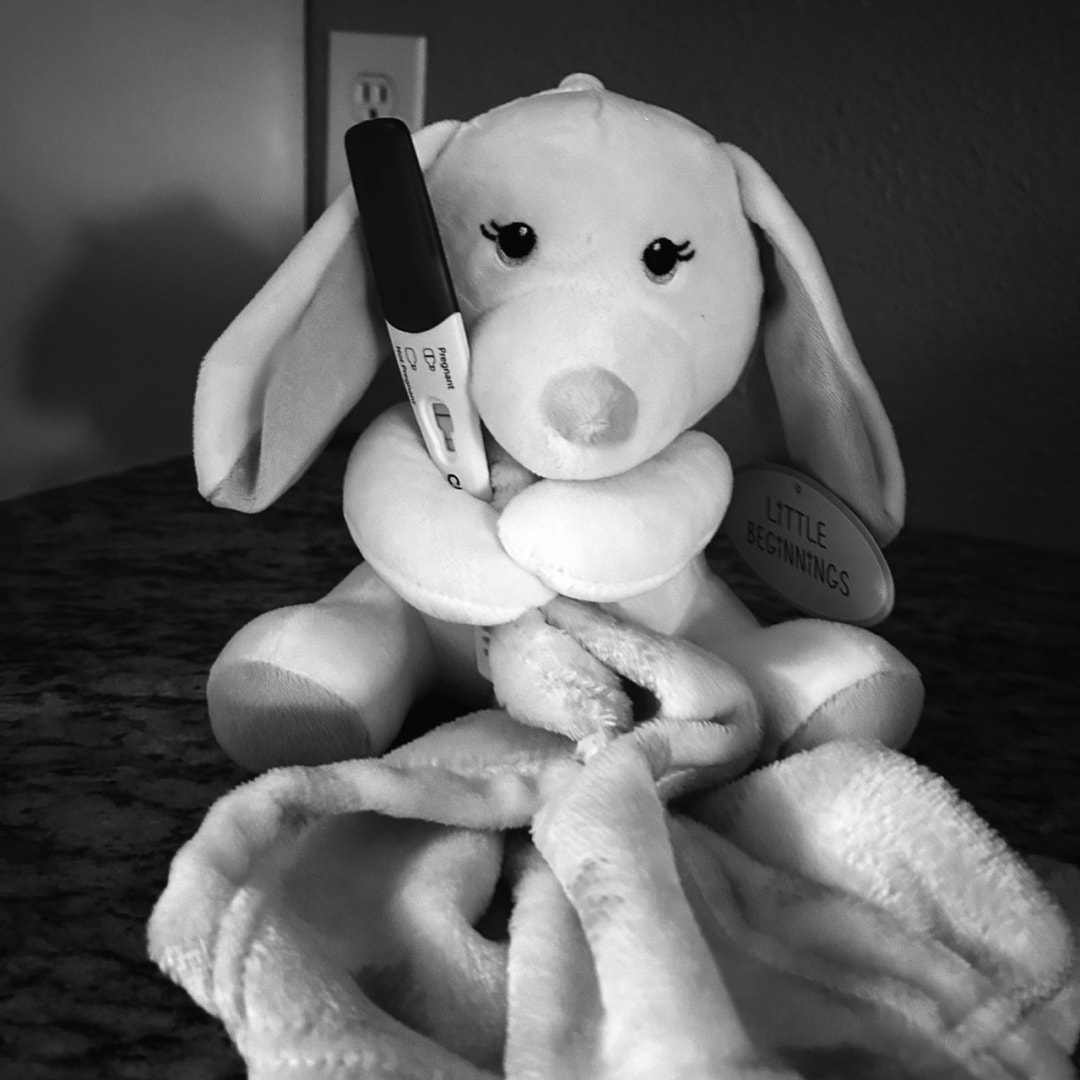 Photo shared by Carlee for their Babylist baby registry.
