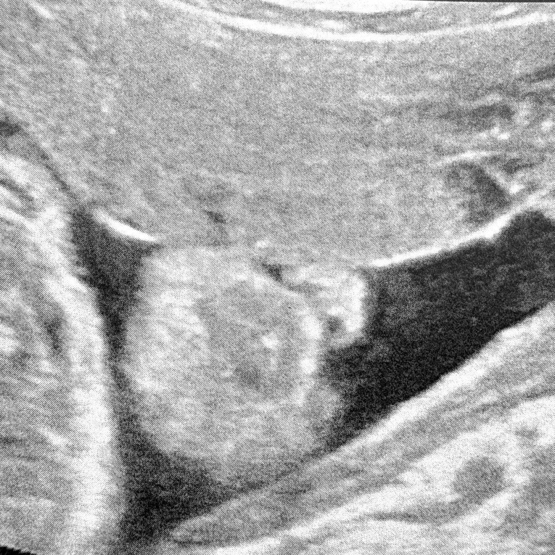 Photo shared by Amy for their Babylist baby registry.