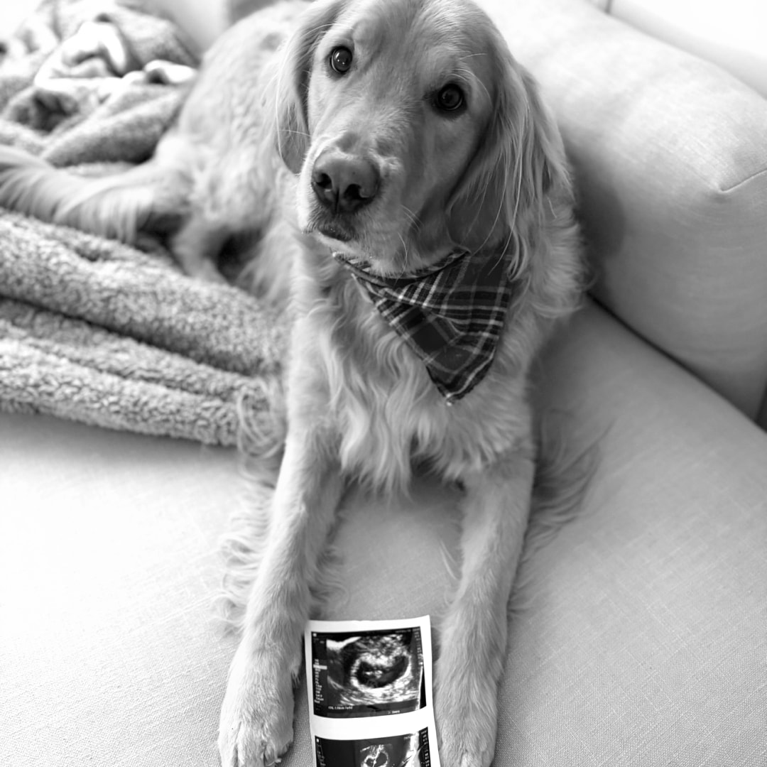 Photo shared by Lucy for their Babylist baby registry.