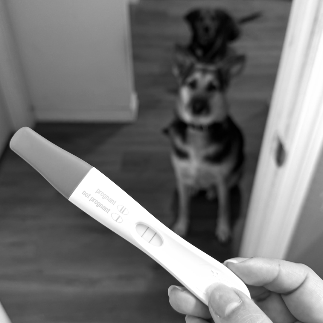 Photo shared by Kearstin for their Babylist baby registry.