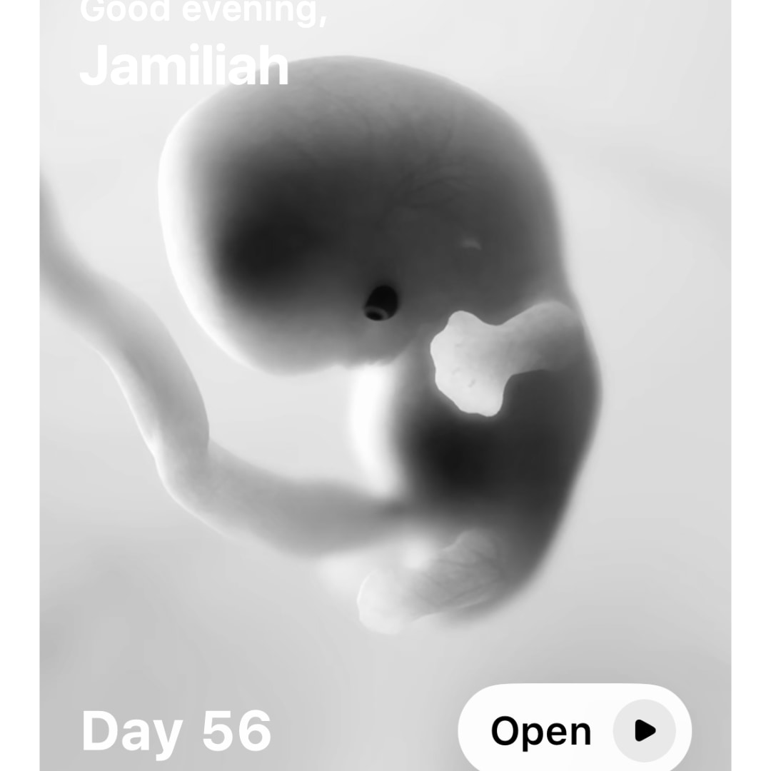 Photo shared by Jamiliah for their Babylist baby registry.
