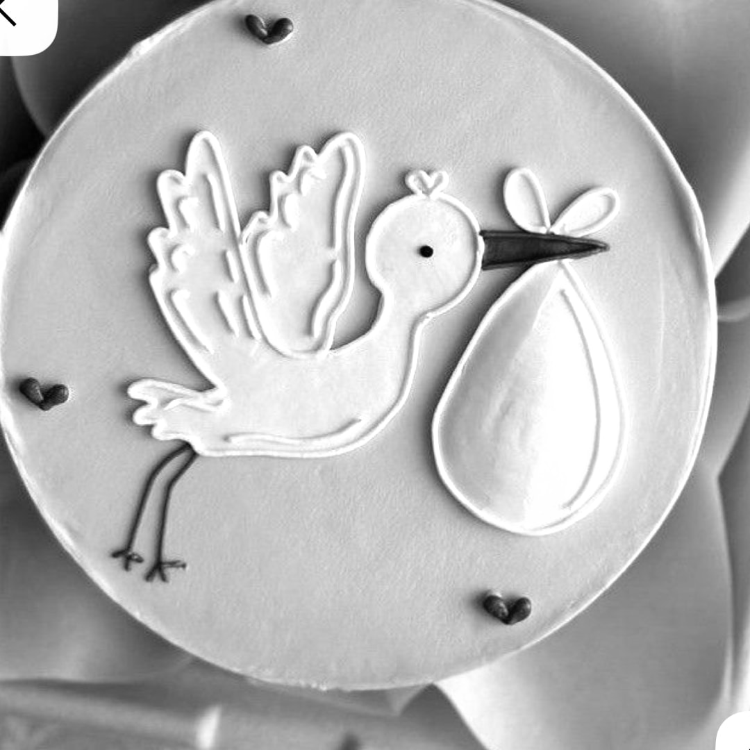 Photo shared by Gabrielle for their Babylist baby registry.