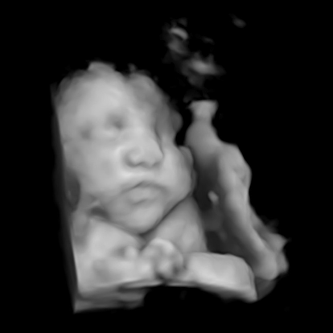 Photo shared by Andrea for their Babylist baby registry.