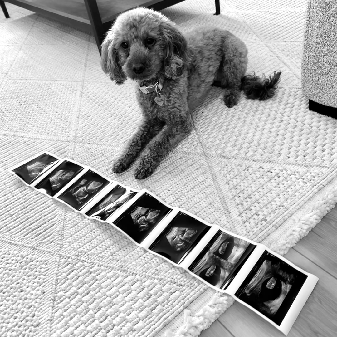 Photo shared by Daisy for their Babylist baby registry.