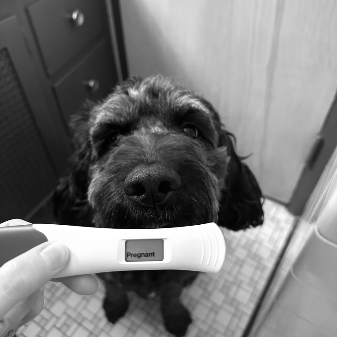 Photo shared by Mary Kate for their Babylist baby registry.