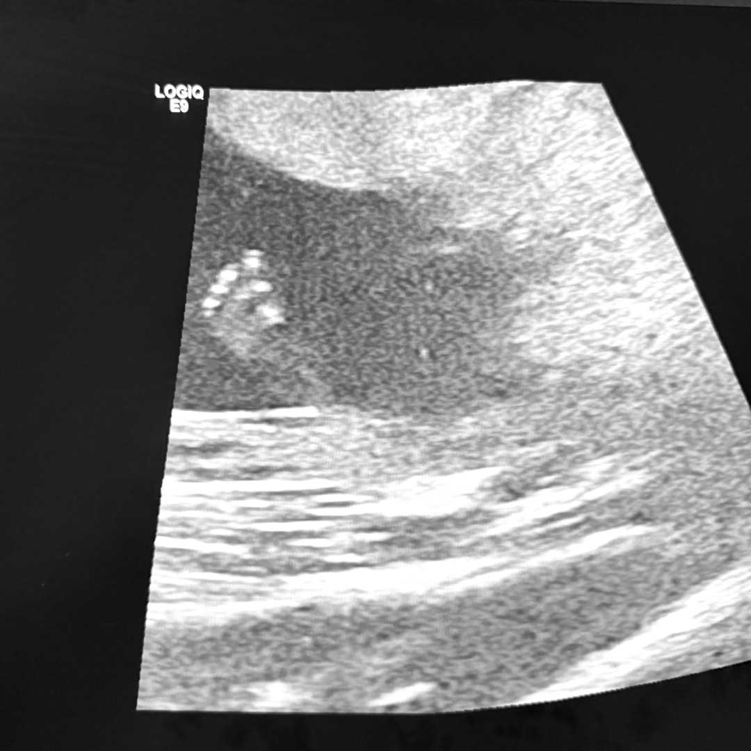 Photo shared by Rachel for their Babylist baby registry.